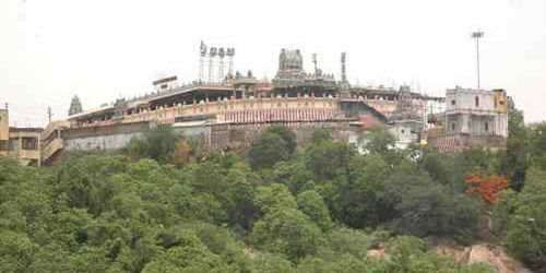 Thiruthani Subramanya Swamy Temple